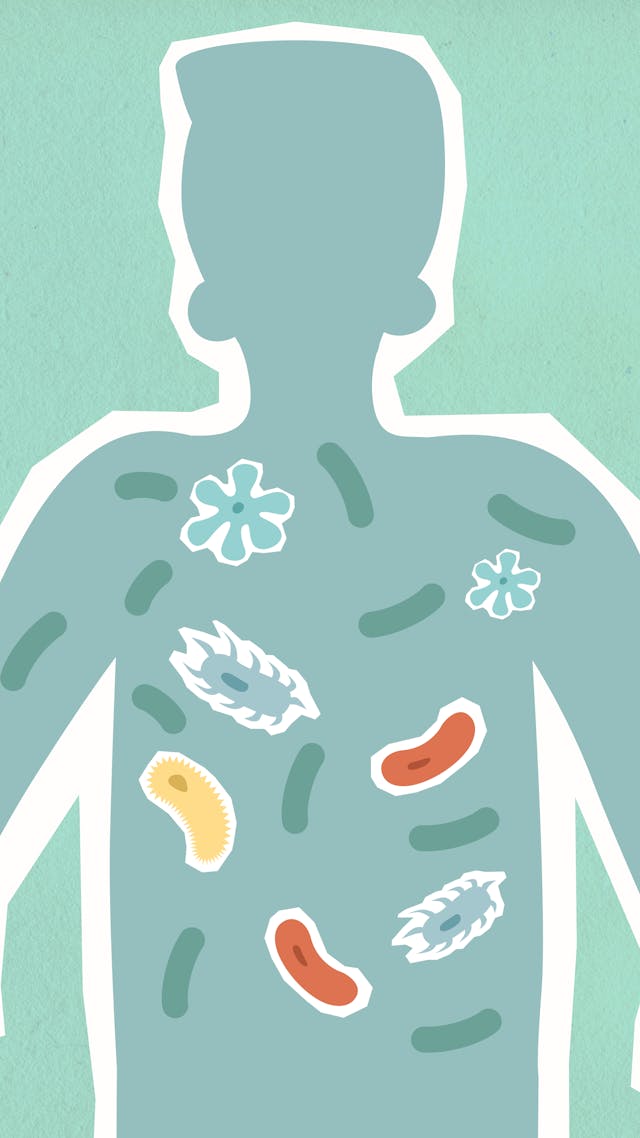 7 Worst Foods For Gut Health